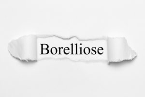 Robert Franz Borreliose