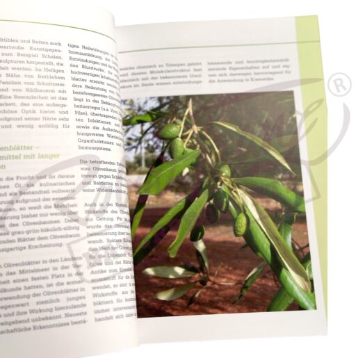 Buch Olivenblattextrakte – Altbewährte Heilmittel in der Praxis – Bild 3