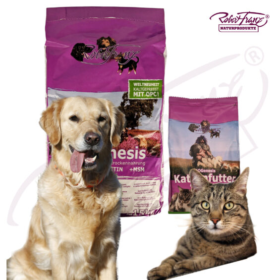 Hunde & Katzen
