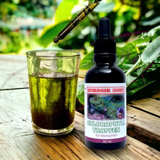 Chlorophyll Tropfen – Bild 2