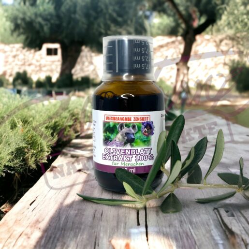 Olivenblatt Extrakt 100 % naturrein – Bild 3